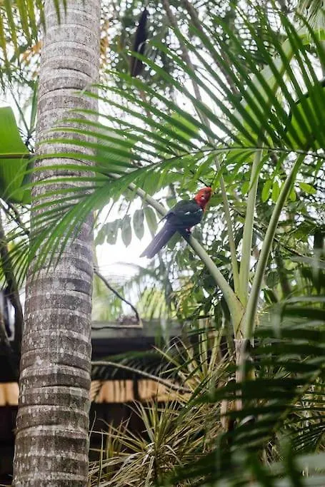 Semesterbostad Ananda Eco House - Eco Rainforest Retreat Montville Australien
